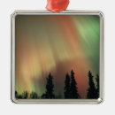 Suche nach nordlicht schmuck Wald