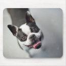 Suche nach hund französischen bulldogge mousepads Lustig