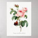 Suche nach antikes botanisches poster Illustration