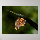 Suche nach fragezeichen poster Natur