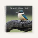 Suche nach kookaburra Niedlich