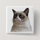 Suche nach glanz buttons Katze