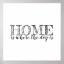 Suche nach kleiner weißer hund poster Haustiere