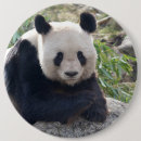 Suche nach chinesische tiere buttons China