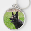 Suche nach schäferhund schlüsselanhänger Gsd