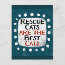 Suche nach lustiges kätzchen postkarten Niedliche