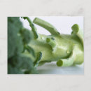 Suche nach broccoli postkarten Nahrung