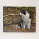 Suche nach border collie puzzle Tiere