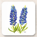 Suche nach bluebonnet untersetzer Lupine