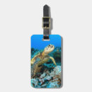 Suche nach schildkröte gepäckanhänger Tier