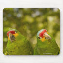 Suche nach tierkopf mousepads Tierwelt