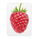 Suche nach himbeeren magnete Obst