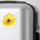 Suche nach gerber magnete Botanisch