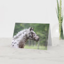 Suche nach spotten karten Pferd