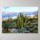 Suche nach western landschaft poster Kakteen