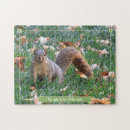 Suche nach nüsse puzzle Eichhörnchen