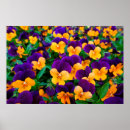 Suche nach blühender garten poster Schön