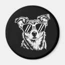 Suche nach sonnenbrille magnete Hund