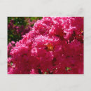 Suche nach crepe poster Baum