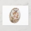 Suche nach igel postkarten Tiere