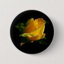 Suche nach gelbe rosen buttons Für sie