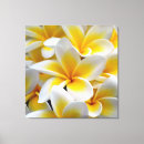 Suche nach frangipani leinwandbilder Blume