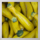 Suche nach zucchini poster Squash
