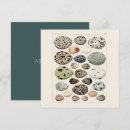 Suche nach vintage vogel karten Eier