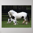 Suche nach sinti und roma vanner poster Bob sprache