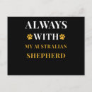 Suche nach australian shepherd postkarten Australischer hirte