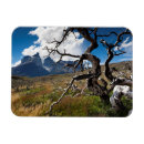 Suche nach torres del paine magnete Landschaft