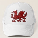 Suche nach waliser kappen Drache
