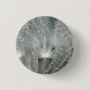 Suche nach wassertropfen buttons Tröpfchen