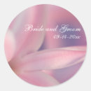Suche nach hyazinthe aufkleber Blume