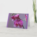 Suche nach phalaenopsis karten Blumenreich