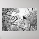 Suche nach eisiges blau poster Baum
