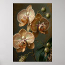 Suche nach weiße orchideen poster Blume