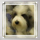 Suche nach altes englisch poster Haustiere