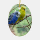 Suche nach wunderbar ornamente Blau