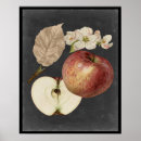 Suche nach kohle poster Botanische studie