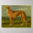Suche nach windhunde poster Vintag