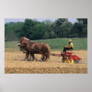 Suche nach verkehr poster Pferd