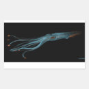 Suche nach tintenfisch aufkleber Meer