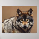 Suche nach wilder wolf poster Wald