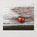 Suche nach ladybug postkarten Niedlich
