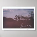 Suche nach afrikanische giraffe poster Savanne