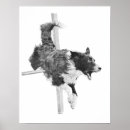 Suche nach collie kunst Agility