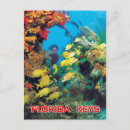 Suche nach riff postkarten Fisch