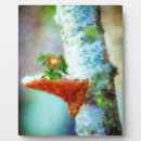 Suche nach drachen fotoplatten Fantasie