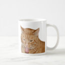 Suche nach orange tabby tassen Ingwer